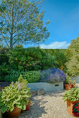 Swathes of blooms such as lavender create seasonal interest in the garden design