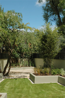 Raised beds give structure to the garden and ease access to plants