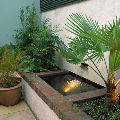 Cistern type water feature and architectural planting transform this small courtyard