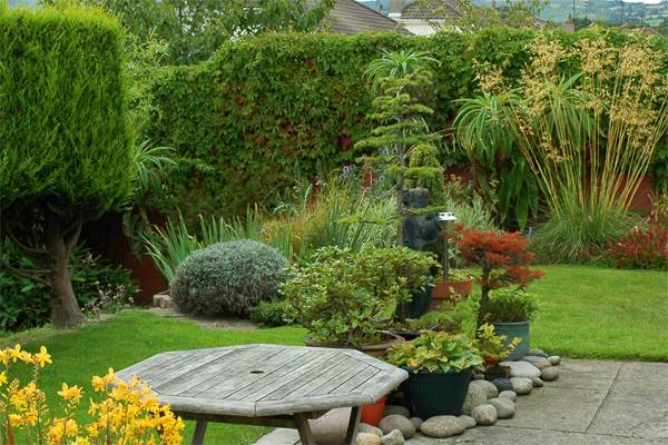 Bold planting and good maintenance make the best of this hillside garden