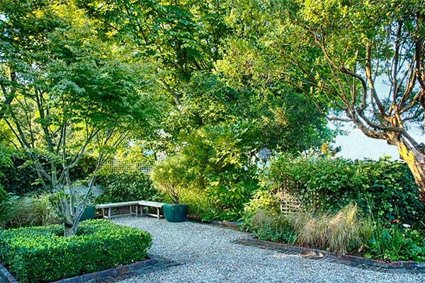 This front garden has developed to give privacy and a peaceful atmosphere