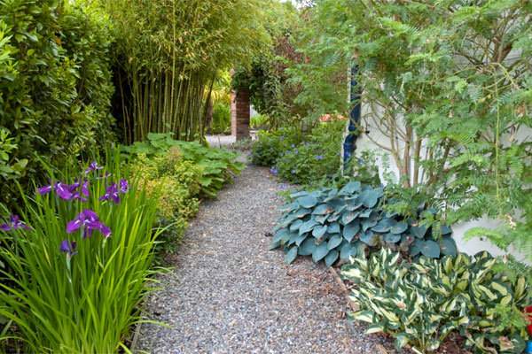 Lush planting frames the path between two garden rooms