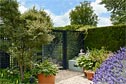 Large masses of rich planting give form to this Dublin garden design.
