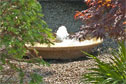 Small bowl water feature brings low tones and a peaceful atmosphere to the garden.