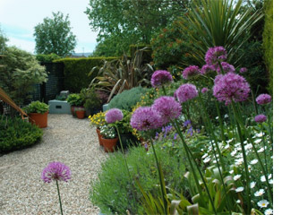 Seasonal planting in Wicklow garden design